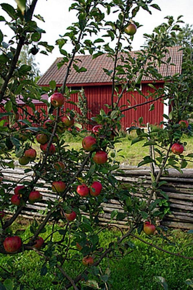 Smultronboda Fargard Edsbruk Exterior photo